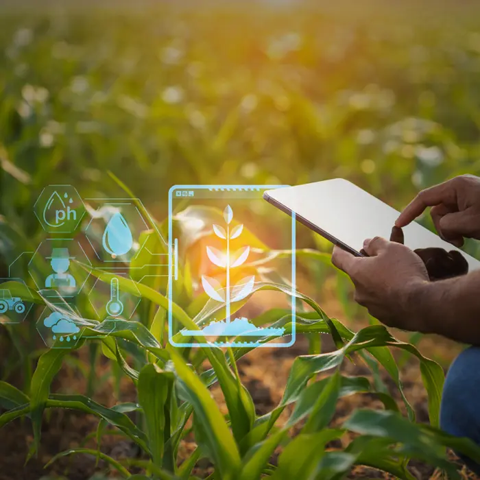 What our partners gain