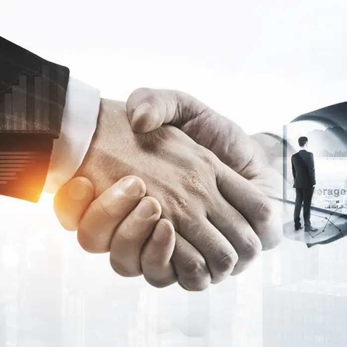 Investors and Strategic Partners